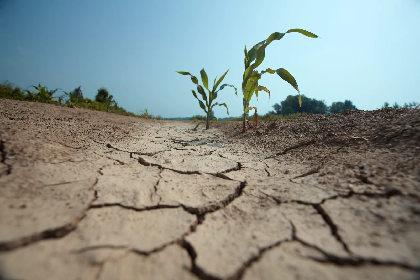 Public Health Law Links Drought Research to Health Programs